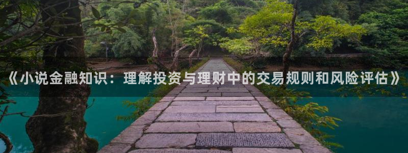 动漫同人小说网站：《小说金融知识：理解投资与理财中的交易规则和风险评估》