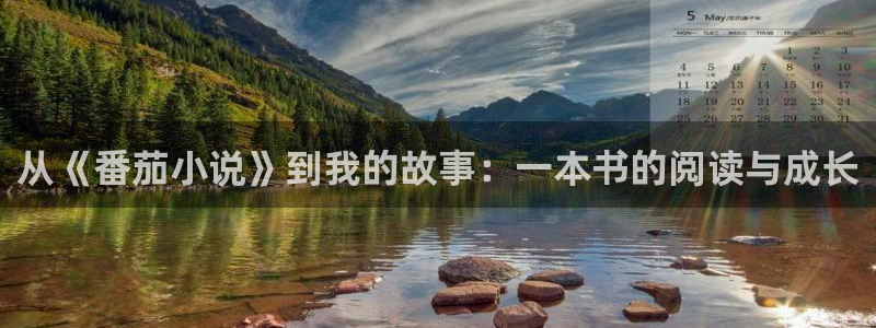 精品小说网站同人小说网：从《番茄小说》到我的故事：一本书的阅读与成长