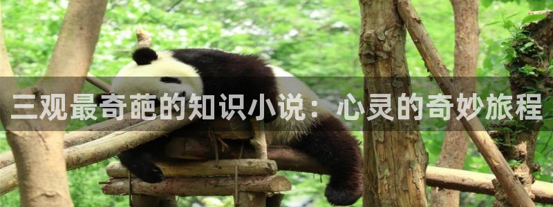 同级生同人小说：三观最奇葩的知识小说：心灵的奇妙旅程