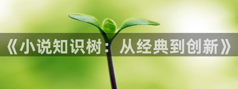 同人小说软件排行榜：《小说知识树：从经典到创新》